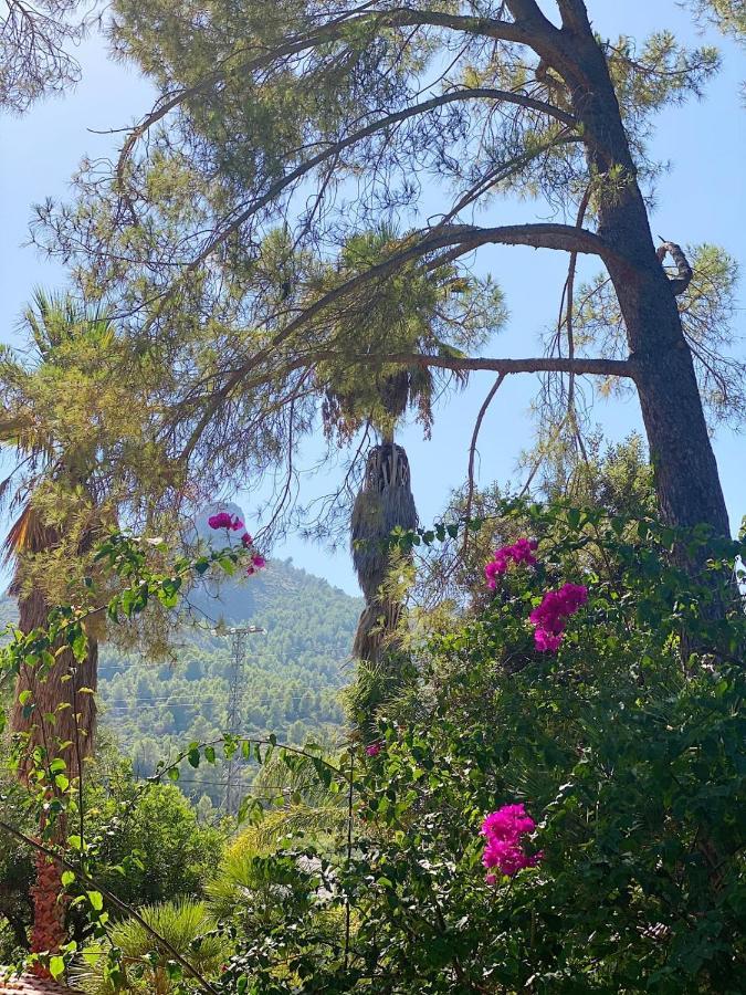 El Botanico De Sagra Otel Dış mekan fotoğraf