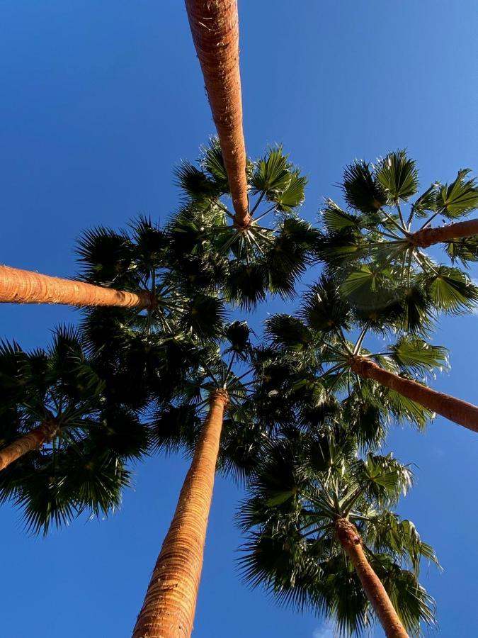 El Botanico De Sagra Otel Dış mekan fotoğraf