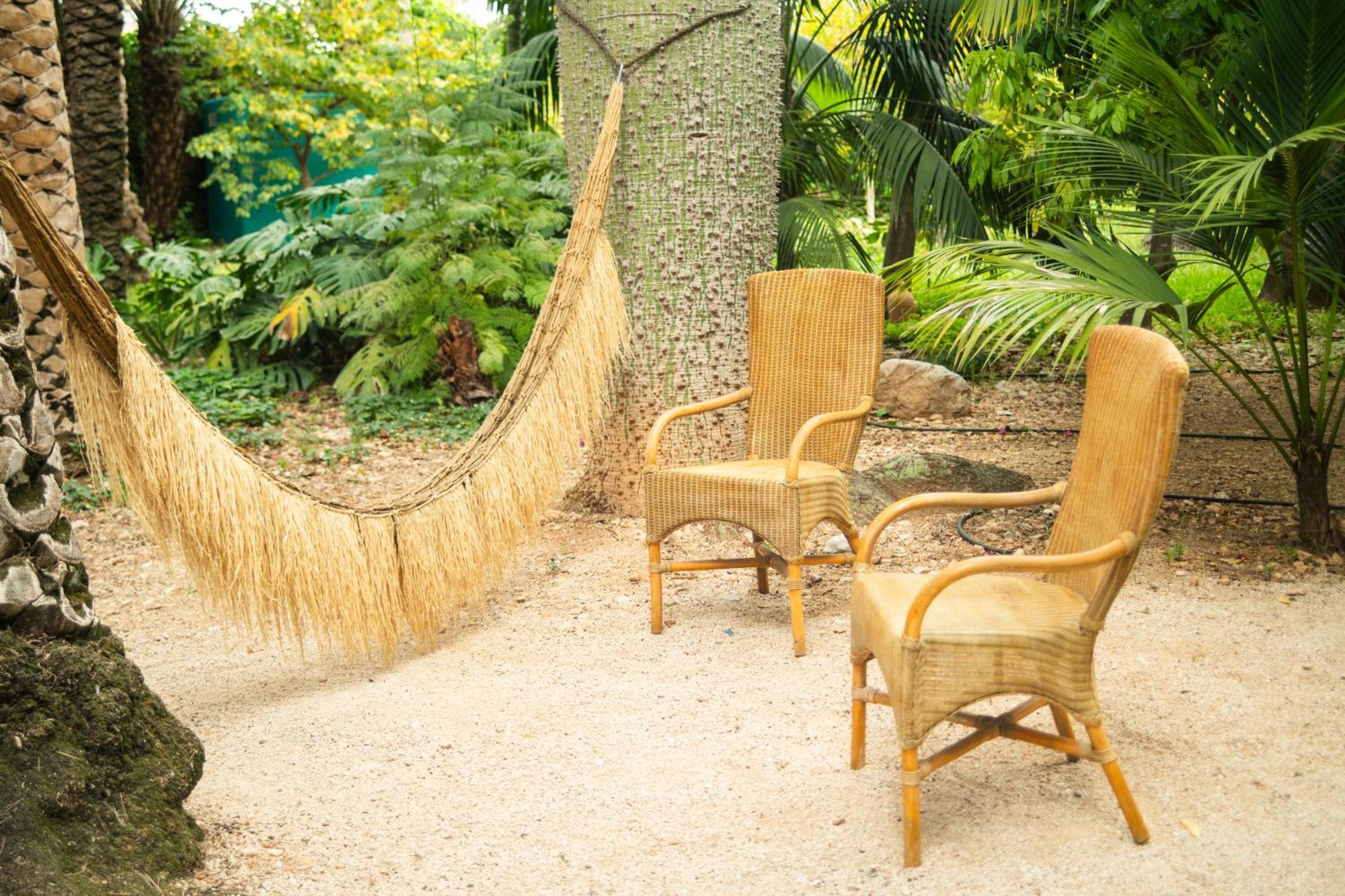 El Botanico De Sagra Otel Dış mekan fotoğraf
