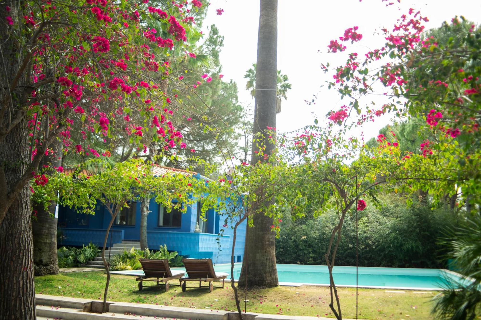 El Botanico De Sagra Otel Dış mekan fotoğraf