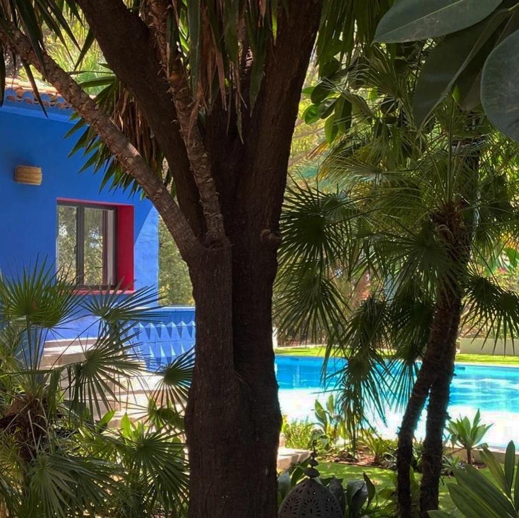 El Botanico De Sagra Otel Dış mekan fotoğraf