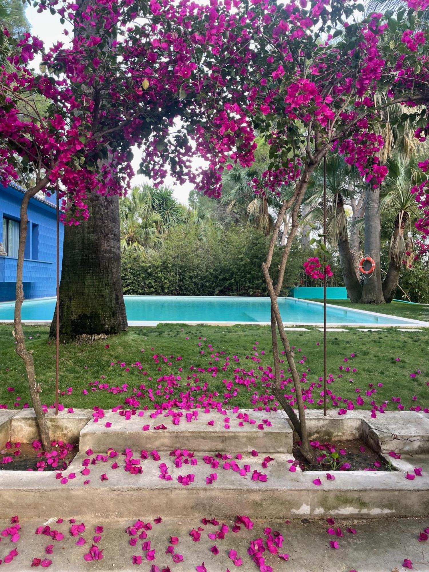 El Botanico De Sagra Otel Dış mekan fotoğraf